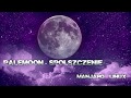 Pale Moon - spolszczenie