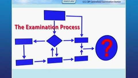 US CUSTOMS CBP Examination Process