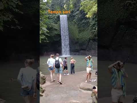 Taman Sari Waterfall Tamansariwaterfall Bali Waterfall