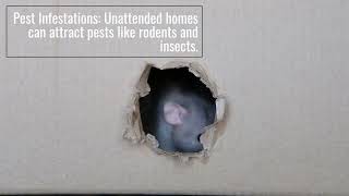 Navigating the Challenges of Leaving Your Colorado Home Unattended: Avoiding Potential Issues