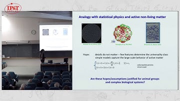 Irene Giardina: Dynamic scaling in natural swarms