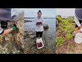 Start exploring the beach rock crabs Crab catching #crab #fishing #catching #hunting