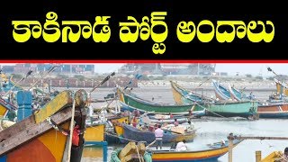 Tourism: Beauty of Kakinada Port Boats and Fishermen | Telugu Popular TV