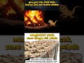 gara gara cicak sialan tiup api,semua jicack jadi punya bonti#shorts #story