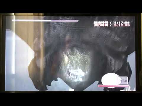 ワンダと巨像 PS2 ウォークスルー タイムアタック ノーマル モード パート 5