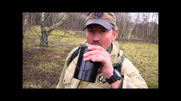 Tapping for Birch Sap