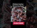 Say Goodbye to Manual Plucking!🚀Durable Fingers #starrubbers #shorts #chickenprocessing #agriculture