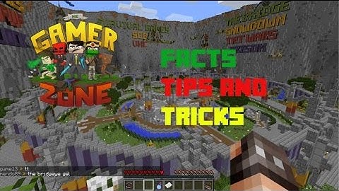 McGamerZone: Facts, Tips and Tricks