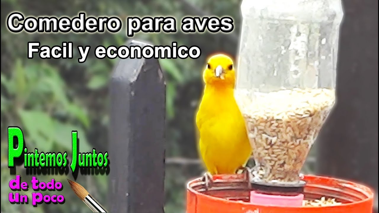 Como hacer comedero para pajaros