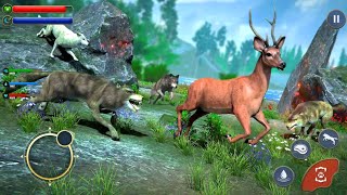 Wolf Sim : Offline Animal Games - Android Gameplay