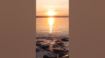 تلاوة خاشعة - عبد الرحمن مسعد #viralvideo #اكسبلور #تلاوة_خاشعة #قرآن