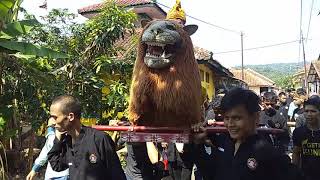 Aku Tak Butuh Cinta 'Seni Rampak Genjring Desa Tembong'