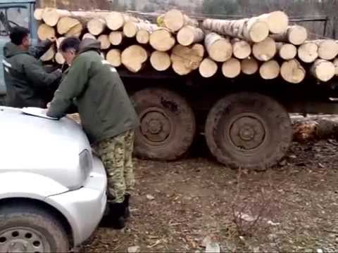 ადიგენში სამართალდამრღვევს უკანონოდ მოპოვებული სამასალე მერქანი ჩამოართვეს