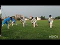Shadow skill forword defence||#viralshorts|| ||#cricketlover ||