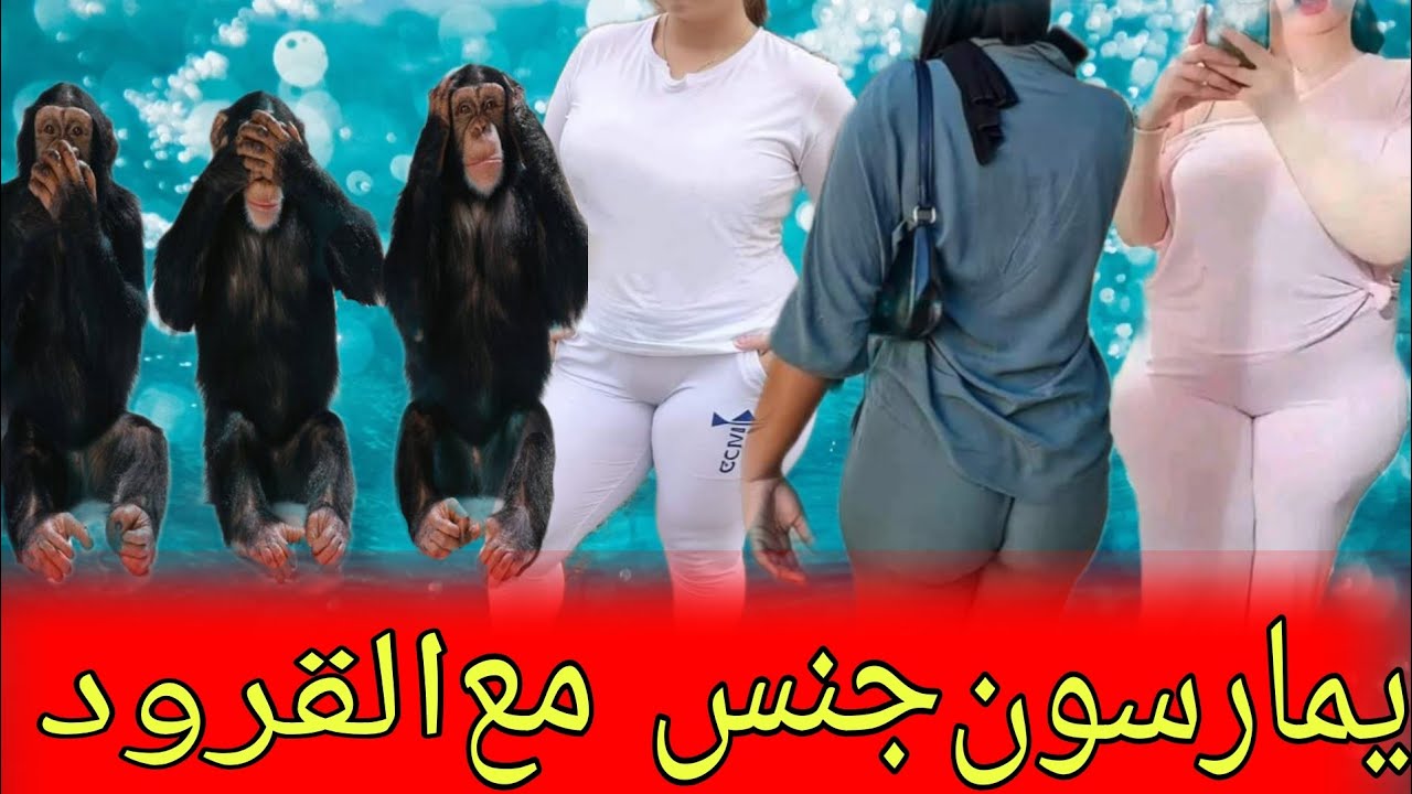 YouTube youtube