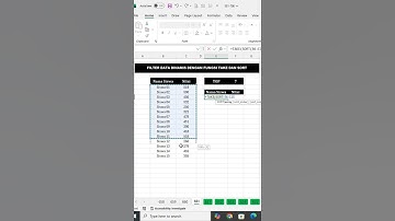 Cara Cepat Sort dan Filter Data di Excel #excel #tipspraktis #exceltips #exceltricks