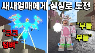 [킹피스 킹레거시] PVP 랜덤 뽑기 이번엔 너프먹은 실실이 나왔어요 상대는 전설 새새 멈춰!!