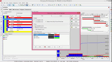 04. Stacked Histogram in Primavera P6