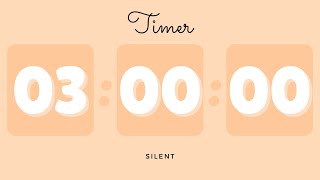 🍊 3 Hours Silent Timer with Cute Ending Alarm | Pastel Orange Timer