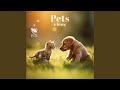 Pet love songs