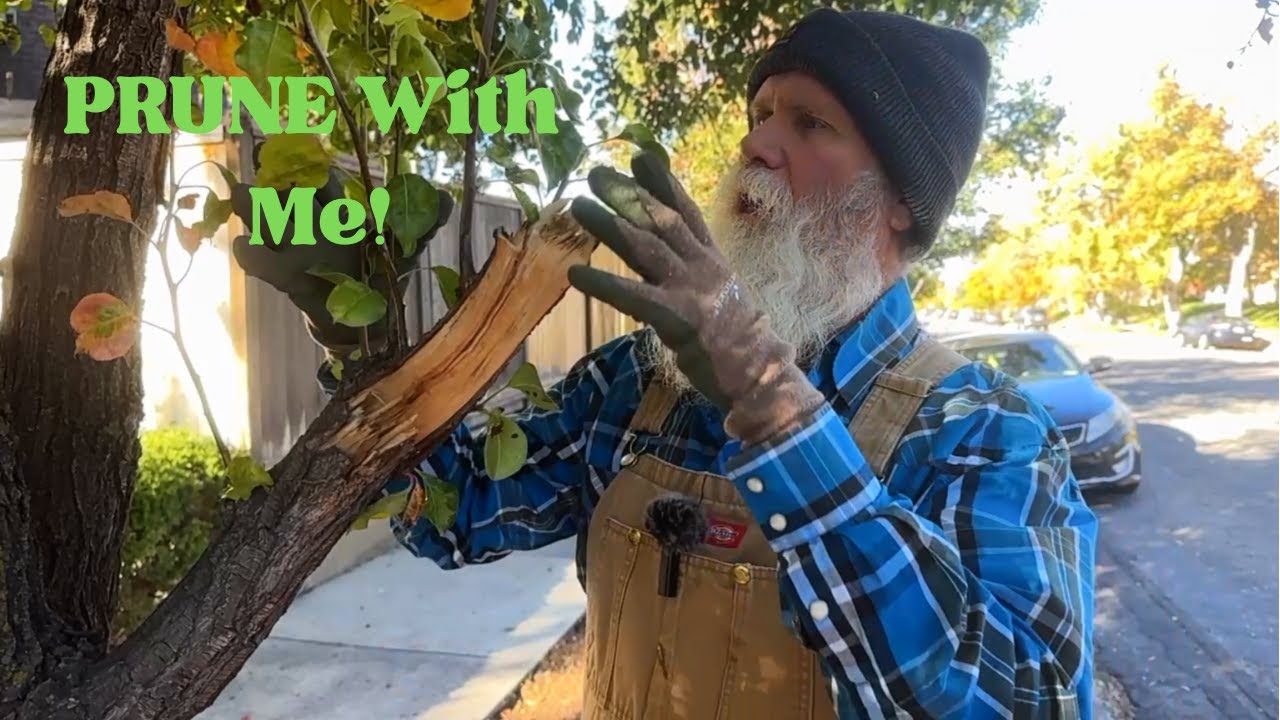 Prune with me! (Out on the job). 