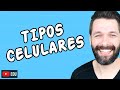 TIPOS DE CÉLULAS (Tipos Celulares) | Biologia com Samuel Cunha