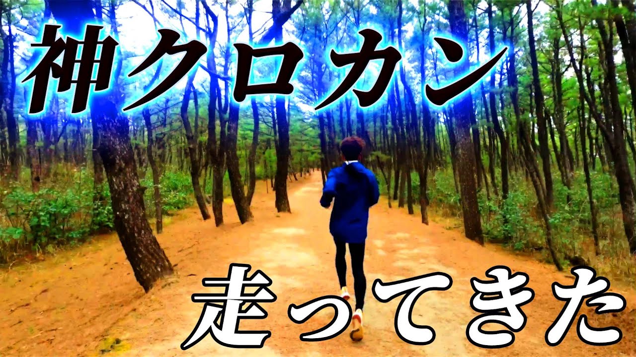 【神コース】日本一の青島クロスカントリーコースを走ってきました！青学OBの現役選手とも遭遇！