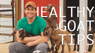 5 Tips for Happy and Healthy Goats by Goat Daddy's 3,673 views 2 years ago 9 minutes, 25 seconds