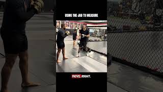 Getting range with the jab in boxing. #boxing #mma #kickboxing #muaythai #martialarts #karate