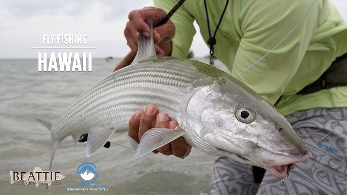 Bonefishing in Molokai  World of Adventure 