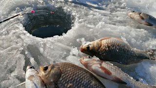 Рыбалка на КАРАСЯ зимой со льда. Щучинск, Боровое
