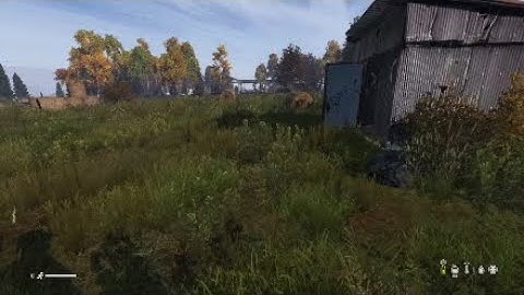 First kill in Official DayZ