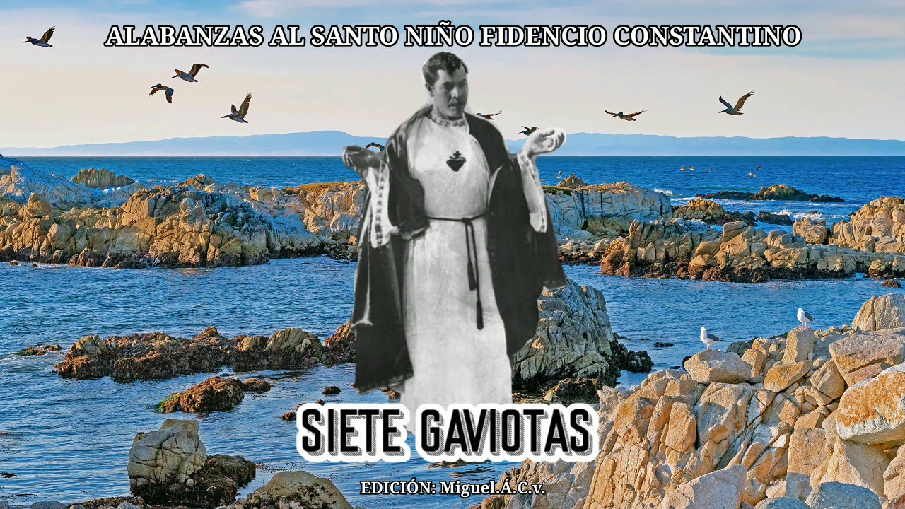 Siete gaviotas