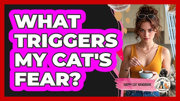 What Triggers My Cat