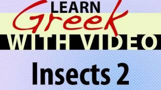 Learn Greek with Video - Insects 2