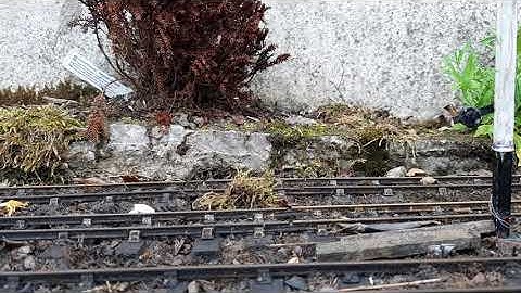 O gauge R/C scratch built garden railway pulling vintage Hornby stock.