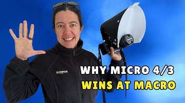 Why micro43 are the king of macro photography