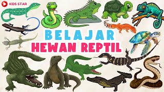 BELAJAR MENGENAL NAMA NAMA REPTIL BAHASA INDONESIA & BAHASA INGGRIS | LEARN NAMES OF REPTILE ANIMALS