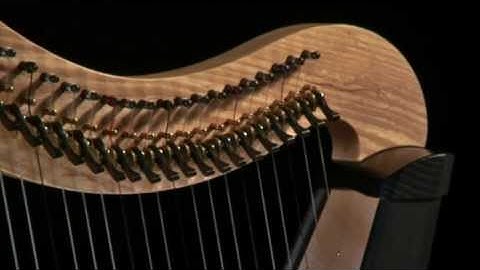 Ravenna 34 built by Dusty Strings