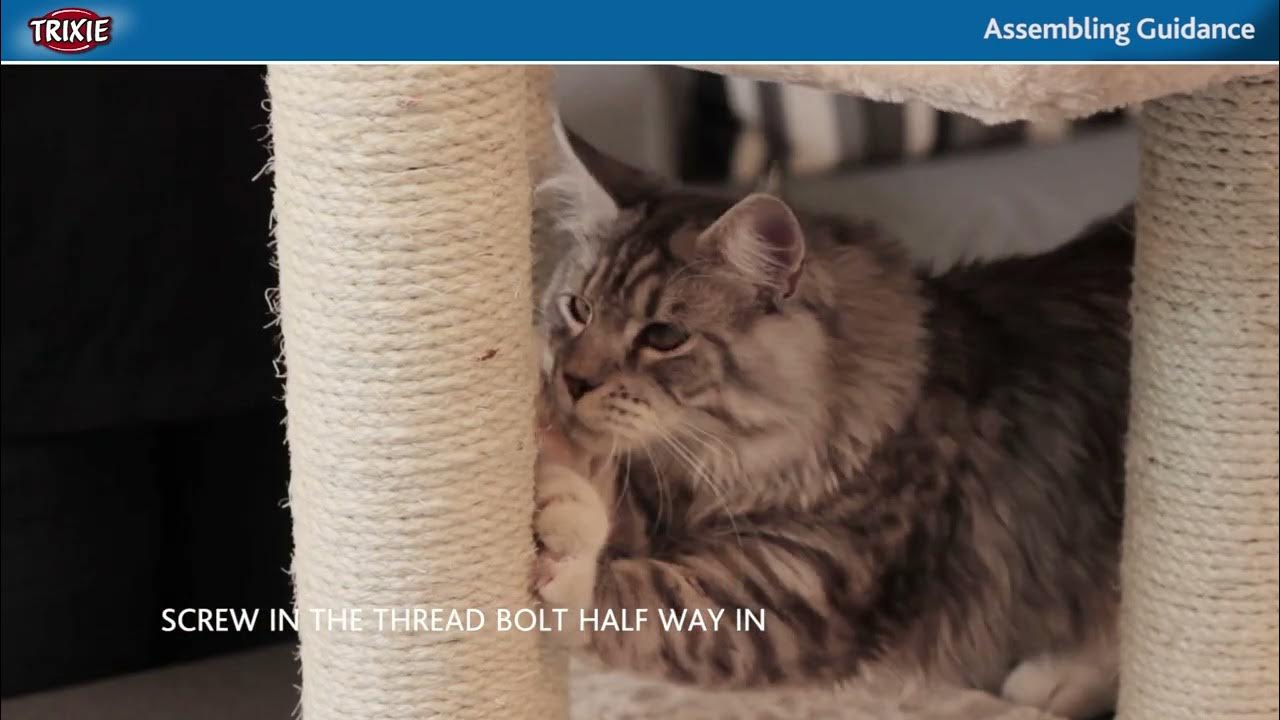 aiwikide-002g-cat-tree-assembly-video-youtube