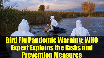 Bird Flu Pandemic Warning: WHO Expert Explains the Risks and Prevention Measures