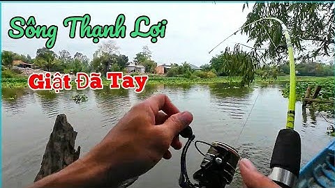 Câu Cá Tra Sông Giật Đã Tay Đức Lưỡi Xảy Cá Khủng 