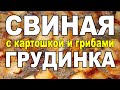 СВИНАЯ ГРУДИНКА С КАРТОШКОЙ  И ГРИБАМИ