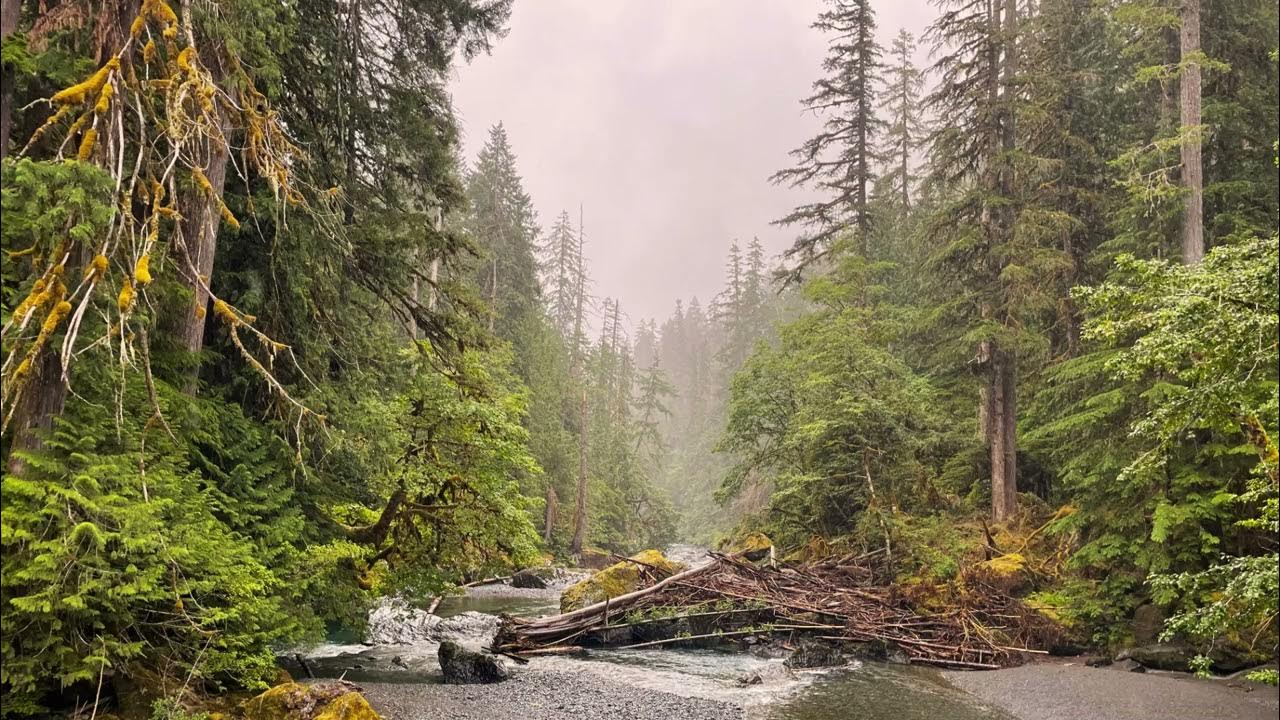 Washington State + Brandy Clark Northwest YouTube