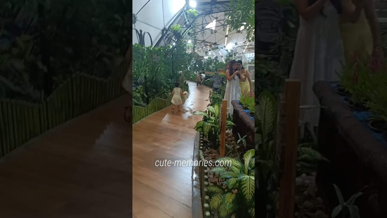 That girl - Dubai Butterfly 🦋 Garden | #dubailife #dubaiattractions #dubaigarden #butterflygarden