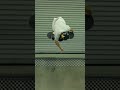 Tristan Rennie nails a perfect 540 one last time at the Vans Combi Bowl #skateboarding #platfrm