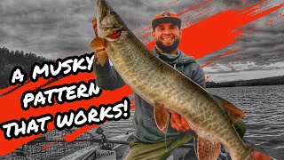 Celebrity 3 DAYS, 3 MUSKIES, what's the LINK? Profile