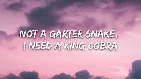 Thumbnail of Cardi B - WAP (Lyrics) feat. Megan Thee Stallion
