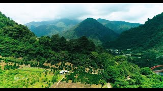台灣有個裡冷外美的地方 [ 空拍 ] DJI P4P v2 | 4K 60fps