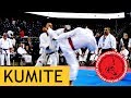 Igor Mirutenko. Kumite. World Championship Fudokan Karate 2017